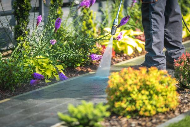 Best Fence Cleaning  in Joshua, TX